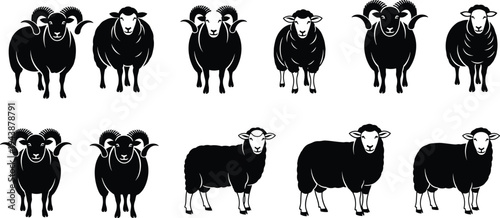 Collection of ten black sheep and ram silhouettes featuring various horn styles and standing poses isolated on white background illustration.
