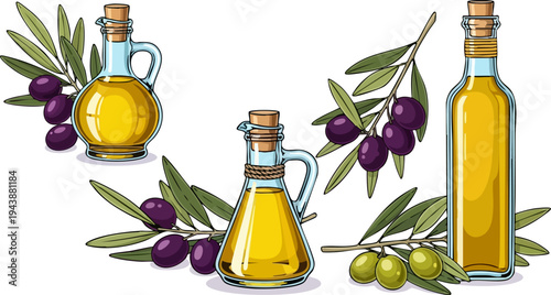 Set of 3 Vector Olive Oil Bottles and Olive Branches with Green and Black Olives, Ideal for Mediterranean Food and Cooking Designs
