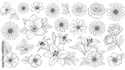 An illustration of various flowers and leaves in a garden setting with a mix of blooms and foliage on display.