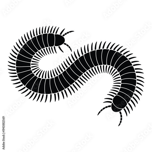 Side view of millipede with segmented body Vector, Silhouette, Illustration