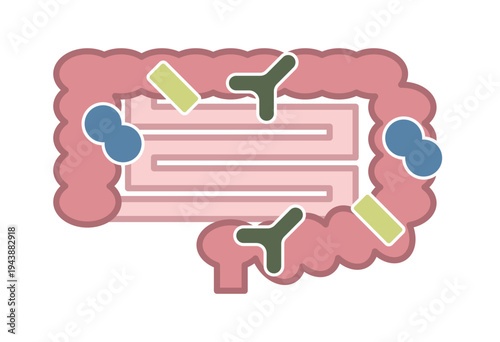 Human intestine with gut bacteria and healthy digestive system concept