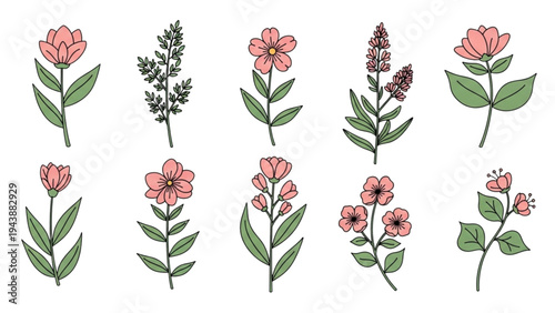 A collection of various flowers and plants with pink blooms are arranged on a plain surface showcasing their green leaves and stems.