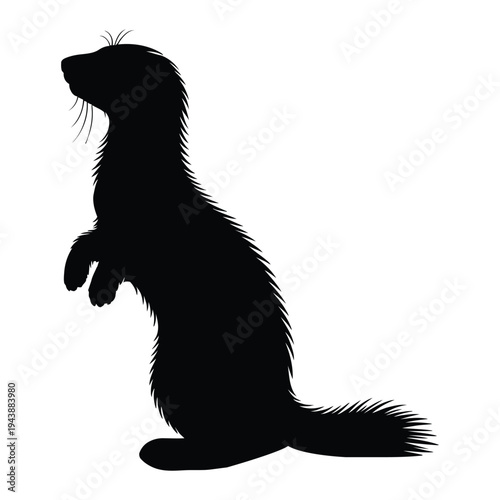 Mink standing on hind legs Vector, Silhouette, Illustration