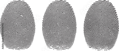 Unique black biometric fingerprint on a white background representing a thumbprint pattern for forensic identification security and criminal evidence in this vector illustration