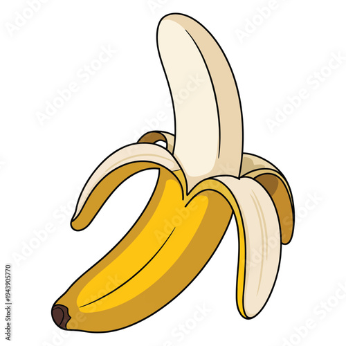 illustration of banana
