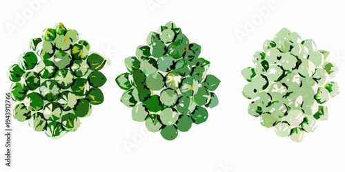 Three stylized broccoli florets against a plain white background