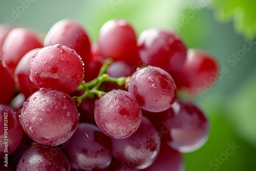 Wallpaper Mural Cluster of fresh red grapes with water droplets ready for harvest in a farm setting, close up of healthy food Torontodigital.ca