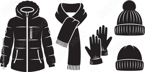 Winter clothing set with jacket, hat, scarf, and gloves