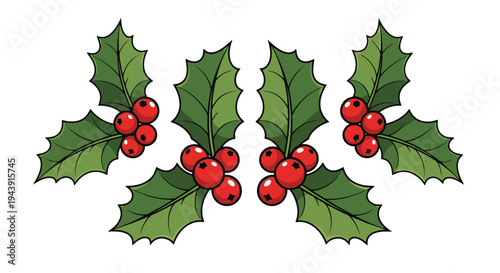 Symmetrical christmas holly berries and green leaves design for holiday greetings and festive decorations with red berries with holiday decoration with winter season