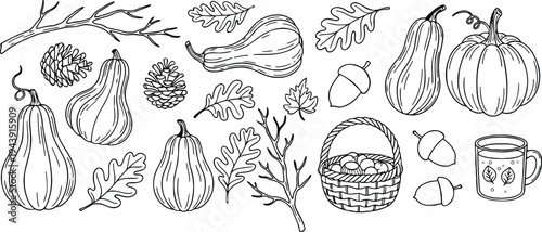 Autumn fall harvest doodle line art collection with pumpkins, leaves, and forest elements for thanksgiving and seasonal design, pumpkins, gourds, oak leaves