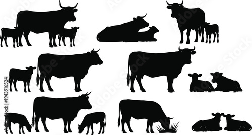 Diverse silhouettes of cattle and their offspring in various pastoral scenes