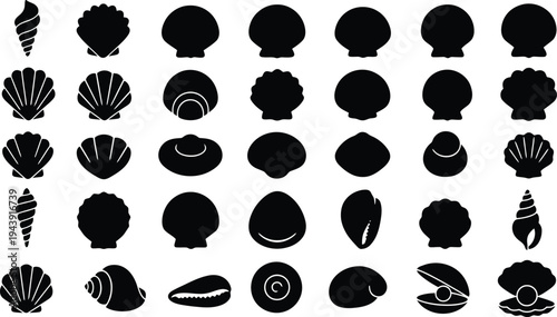 Set of black seashell silhouettes isolated on white background with various ocean shell shapes