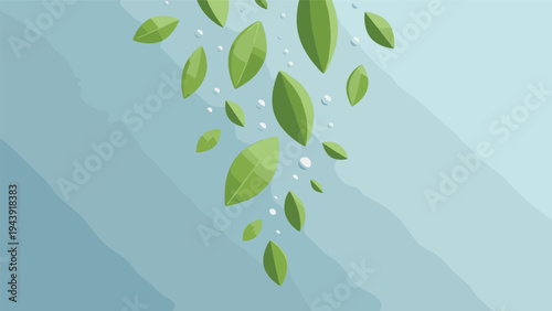 Artistic composition of various green leaves and transparent water droplets falling down through a blue atmospheric background.