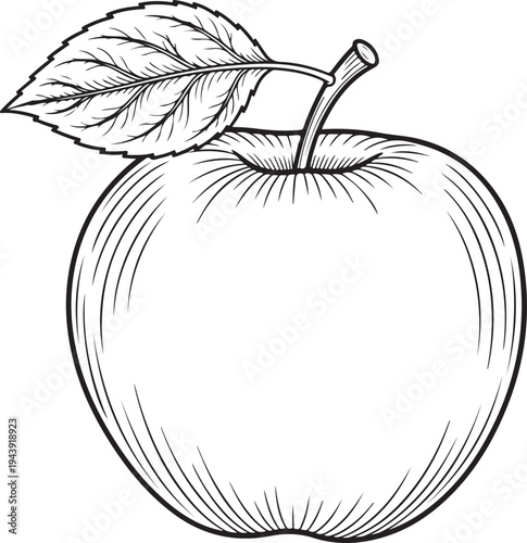 Black and white line of an apple with a leaf and stem fruit food healthy organic
