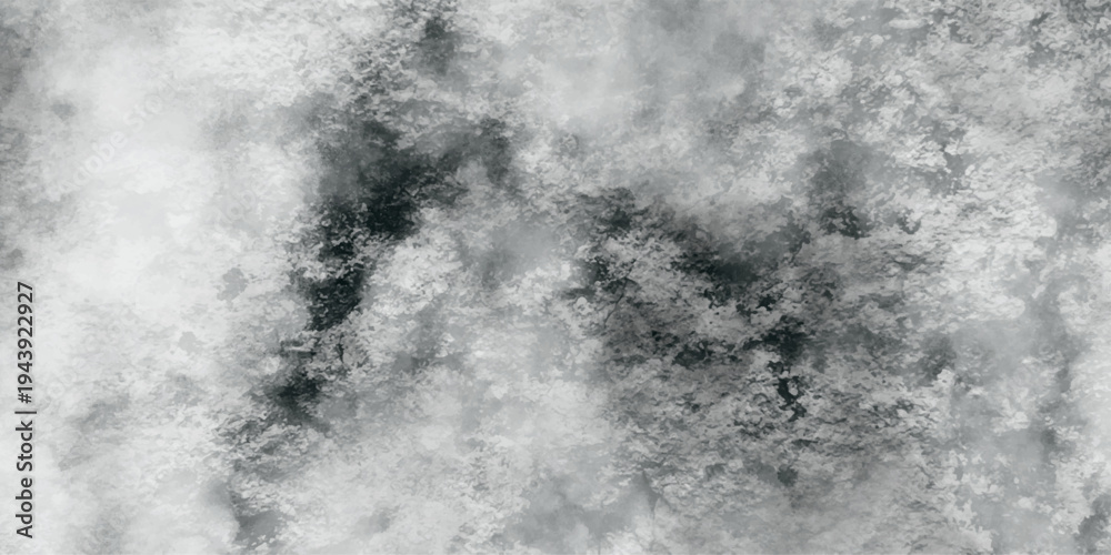 Obraz premium Abstract white and gray isolated cloud cumulus clouds. Gray aquarelle painted realistic fog or mist smoky textured canvas design. White and ash messy wall stucco texture background. 