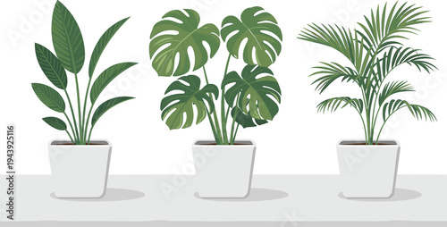 Indoor tropical houseplants in pots flat vector illustration set with monstera palm and decorative foliage plants isolated on white background