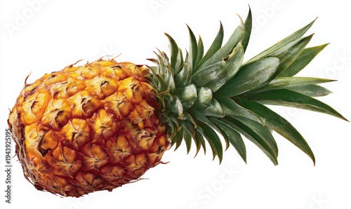  A pineapple fruit