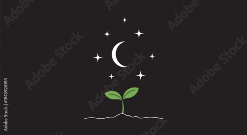Sprouting seedling under starry night sky with crescent moon