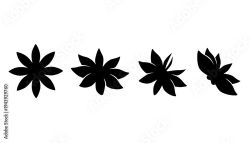 Star Anise Spice Icon
