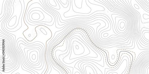 Geographic abstract pattern. The topo contour or wallpaper. Mountain trail terrain or path.The stylized height of the topographic map contour in lines and contours isolated on transparent.
