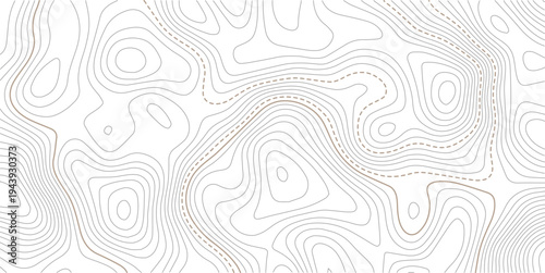 Geographic abstract pattern. The topo contour or wallpaper. Mountain trail terrain or path.The stylized height of the topographic map contour in lines and contours isolated on transparent.
