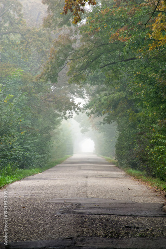 Asphalt road in foggy forest at rainy day in Pisarovinska Jamnic