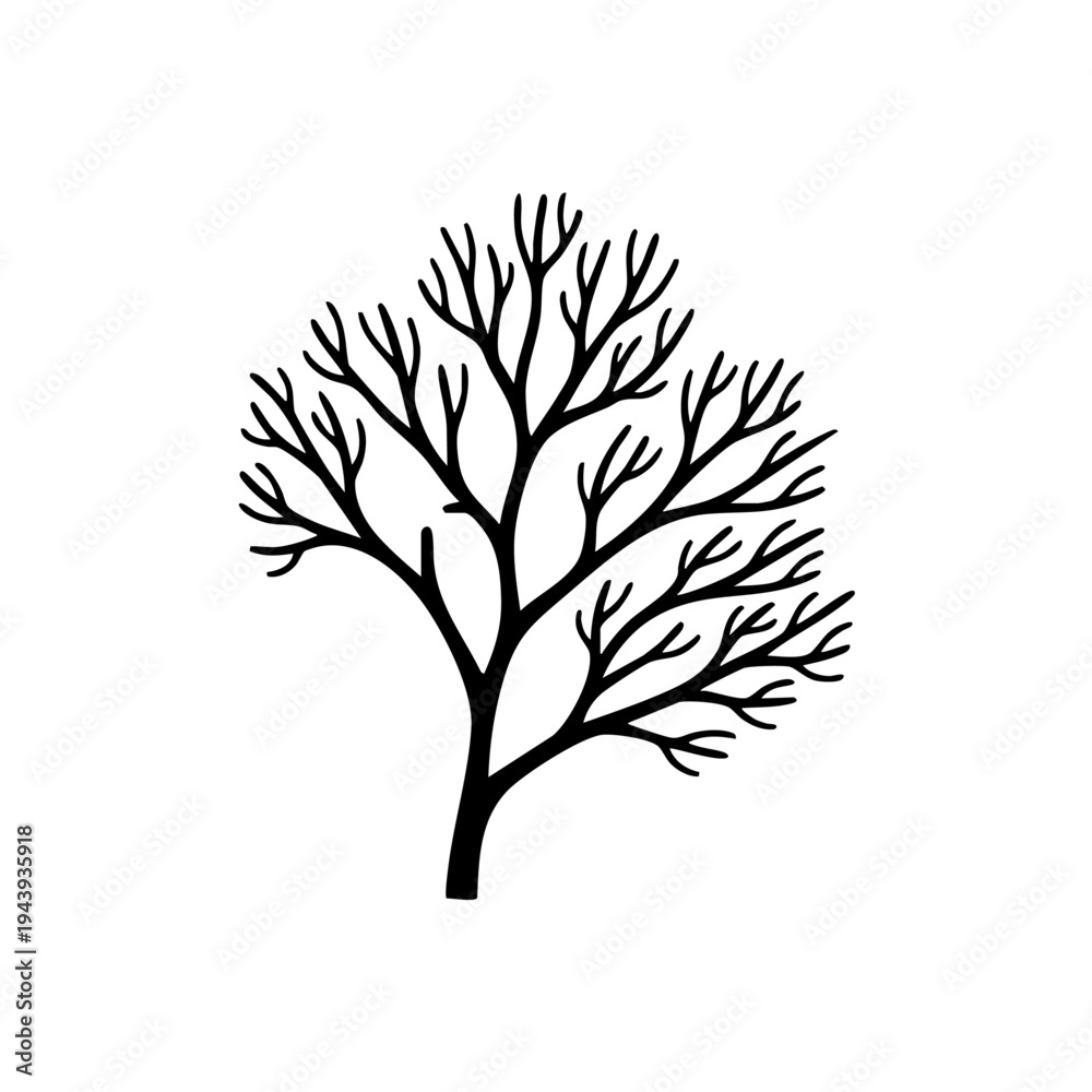 Obraz premium A black silhouette of a leafless tree.