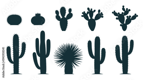 Set of black silhouettes illustrating various types of desert cacti and succulents in different growth forms and shapes.