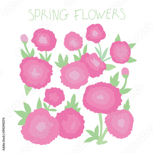 Colorful flat pink flower in form of square. Flat vector illustration. Botanical art. Naive minimal and beautifully decorative floral artwork.