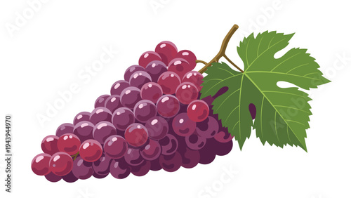 Detailed flat illustration of a large bunch of ripe red grapes with a single green leaf isolated on a clean white background.
