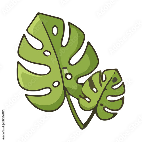 Monstera Leaf Illustration