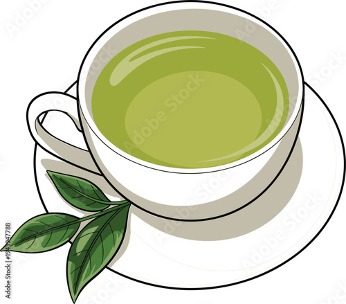 White cup of healthy green tea with fresh tea leaves on saucer, botanical vector illustration