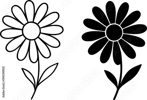Daisy flower illustration icon, outline and silhouette, for nature theme design