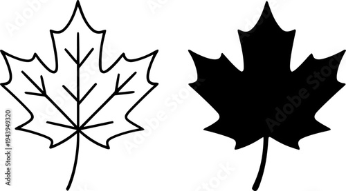 Maple leaf illustration icon, outline and silhouette, for nature theme design
