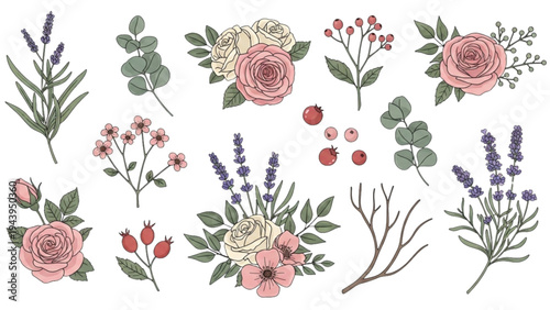 A collection of various flowers and plants are illustrated on a white background.