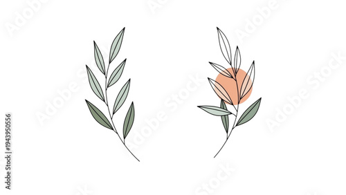 Leaves and flowers are illustrated on paper with green and orange colors