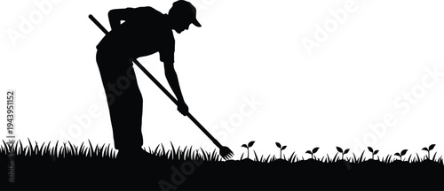 Black silhouette of a male gardener using a hand rake to tend organic vegetable seedlings in a garden field during spring agriculture planting season