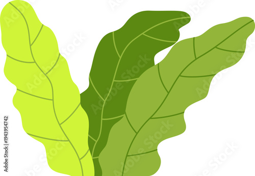 Green Tropical Leaves Illustration