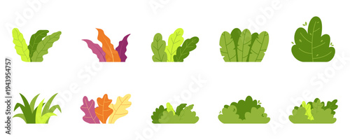 Set of Cartoon Bush and Plant Icons