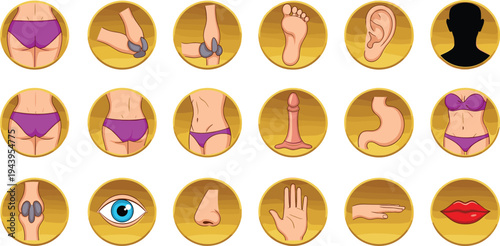 human, body, parts, anatomy, organs, medical, healthcare, illustration, vector, icons, set, ear, eye, nose, hand, foot, stomach, knee, lips, silhouette