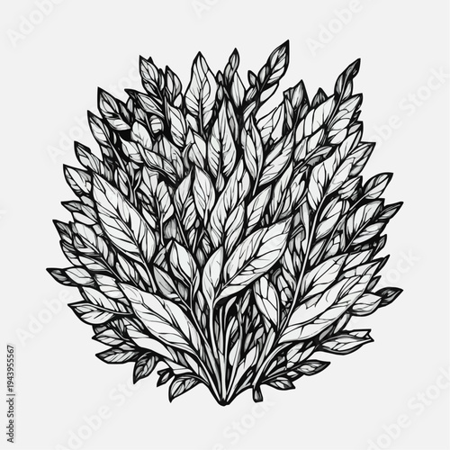 Hand-drawn botanical sketch of a cluster of organic dried leaves and fibers, monochrome line art illustration isolated on white