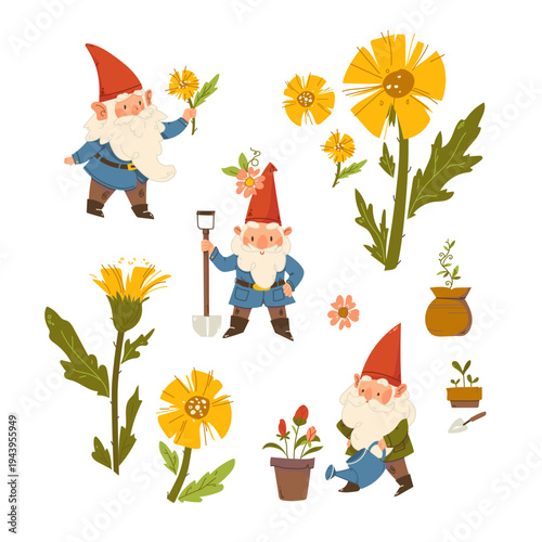 Whimsical set of cute garden gnomes with red pointed hats. Vector elf, dwarf and flowers gardening elements. design with gnomes and spring flowers, tussilago farfara