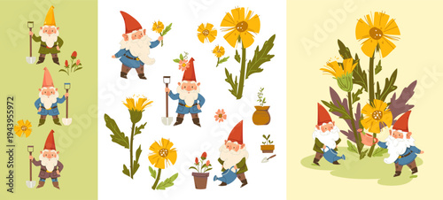 Whimsical set of cute garden gnomes with red pointed hats. Vector elf, dwarf and flowers gardening elements Card design with gnomes and spring flowers, tussilago farfara