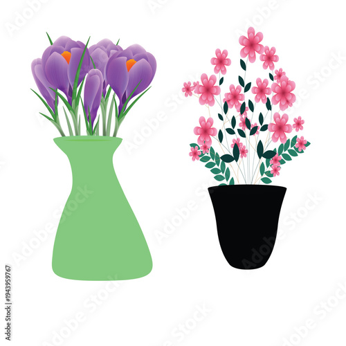  is a vector illustration of purple crocus flowers planted