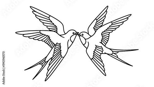 Swallows Embracing: Two swallows are captured in a tender moment, their beaks touching as a symbol of love, affection, and serenity, set against a pristine backdrop.