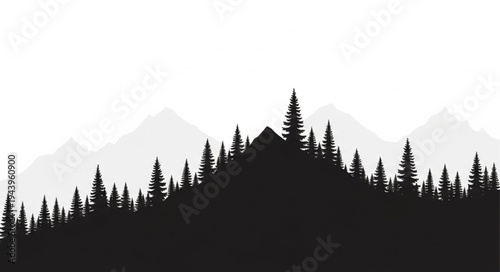 Silhouette of pine tree forest.