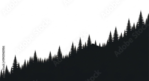 Silhouette of Pine Tree Forest.