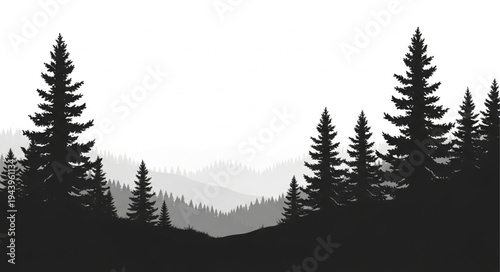 Silhouette of Pine Trees Landscape.