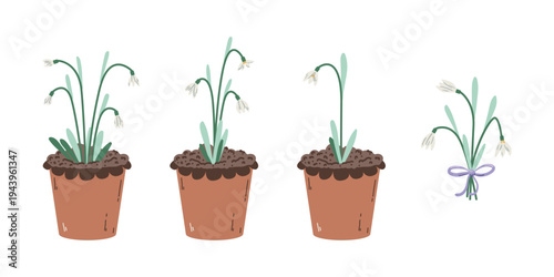 Set of hand-drawn spring snowdrop flowers in terracotta pots