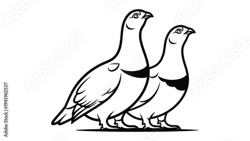 Two Grouse in Line Art: Capturing the simple elegance of wildlife, a minimalist illustration of two grouse stands side-by-side, their forms defined by clean lines and stark contrast.